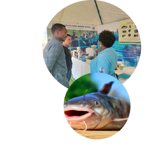 Fish farming